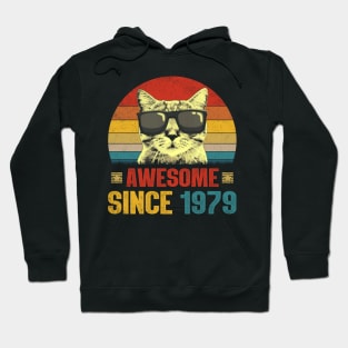 Awesome Since 1979 45th Birthday Gifts Cat Lover Hoodie